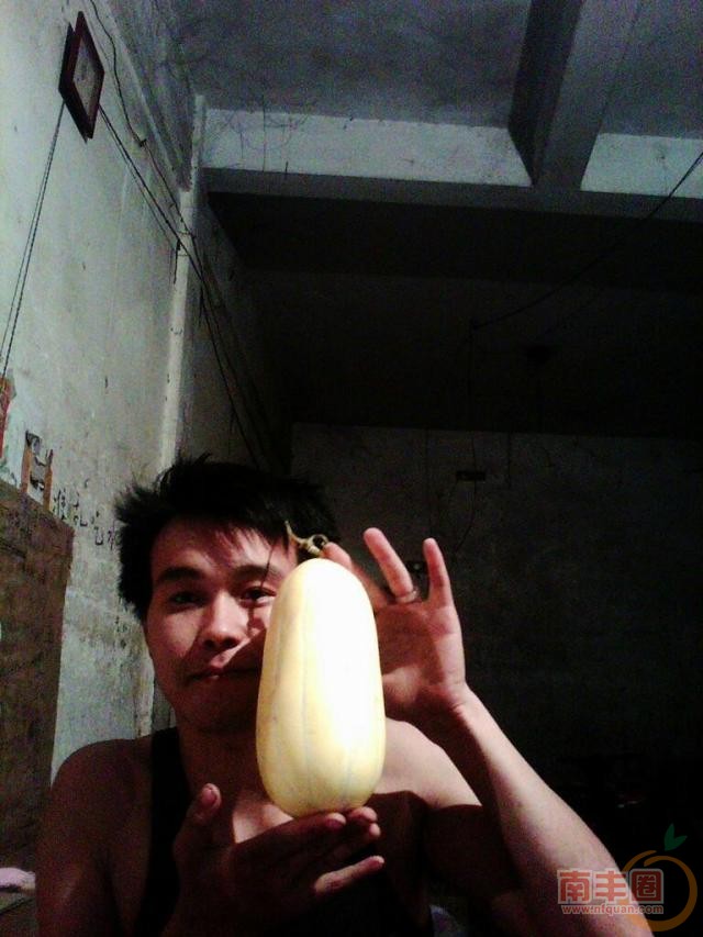 金瓜.jpg