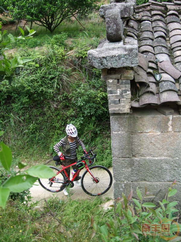 DSCF3590.jpg