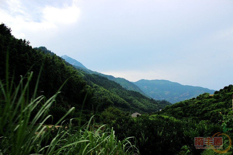 IMG_1663_副本.jpg