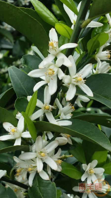 20150411_112359.jpg