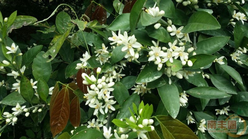 20150411_110517.jpg