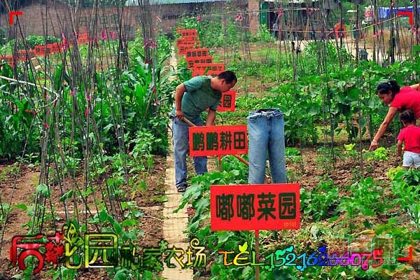 实拍7.jpg