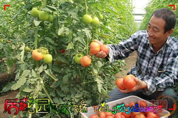 实拍1.jpg