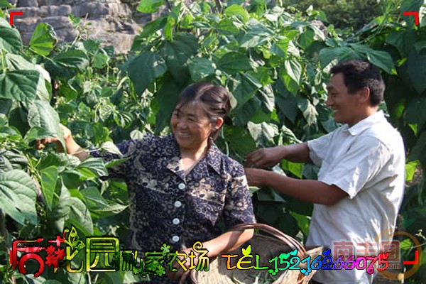 实拍4.jpg