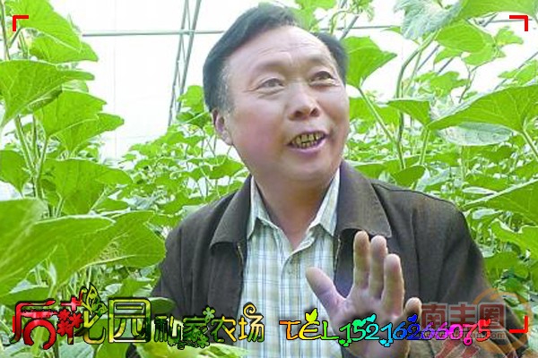 实拍.jpg