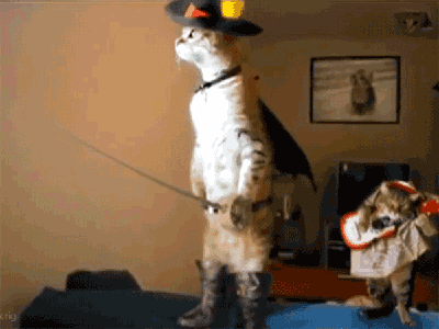 1fad43ba0d5d63d1d721cd765a289e37.gif