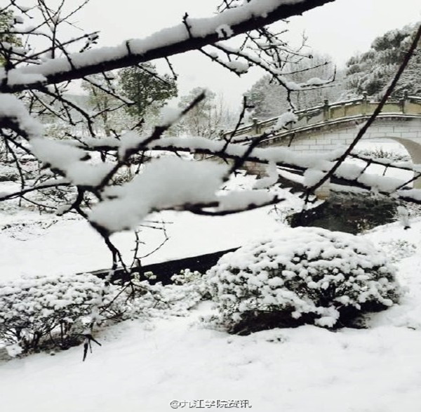 7364db31gw1f06yf0kss3j20f00k0adk_副本.jpg