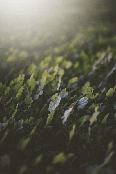 532ec82040bce80ffdcf6c6df47b580f.gif