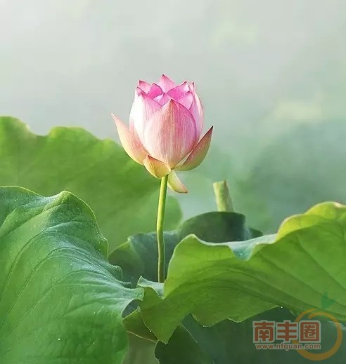 640.webp (10).jpg