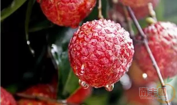 640.webp (12).jpg