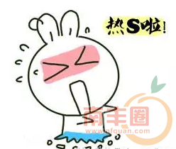 IMG_7484.PNG
