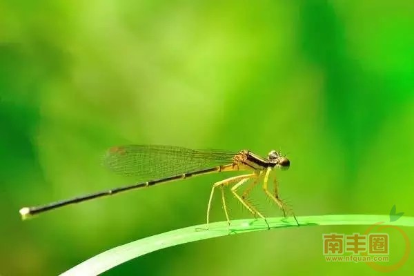 640.webp (24).jpg