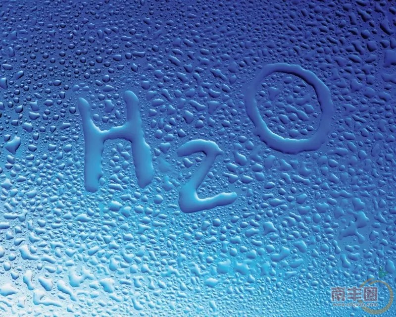 0.webp (7).jpg