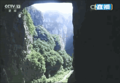 f44a872705d464200353129b1b1c8a5f.gif