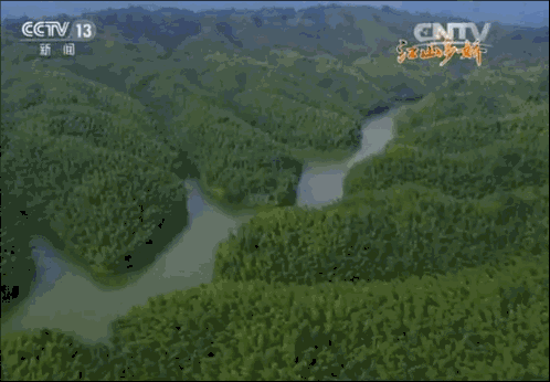 ecbd5977eb0515753ca8f008b2f6d94d.gif