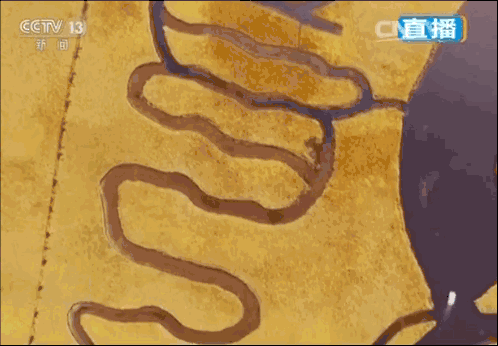 8f3eece67fd1b669e368dbe57ce420c2.gif
