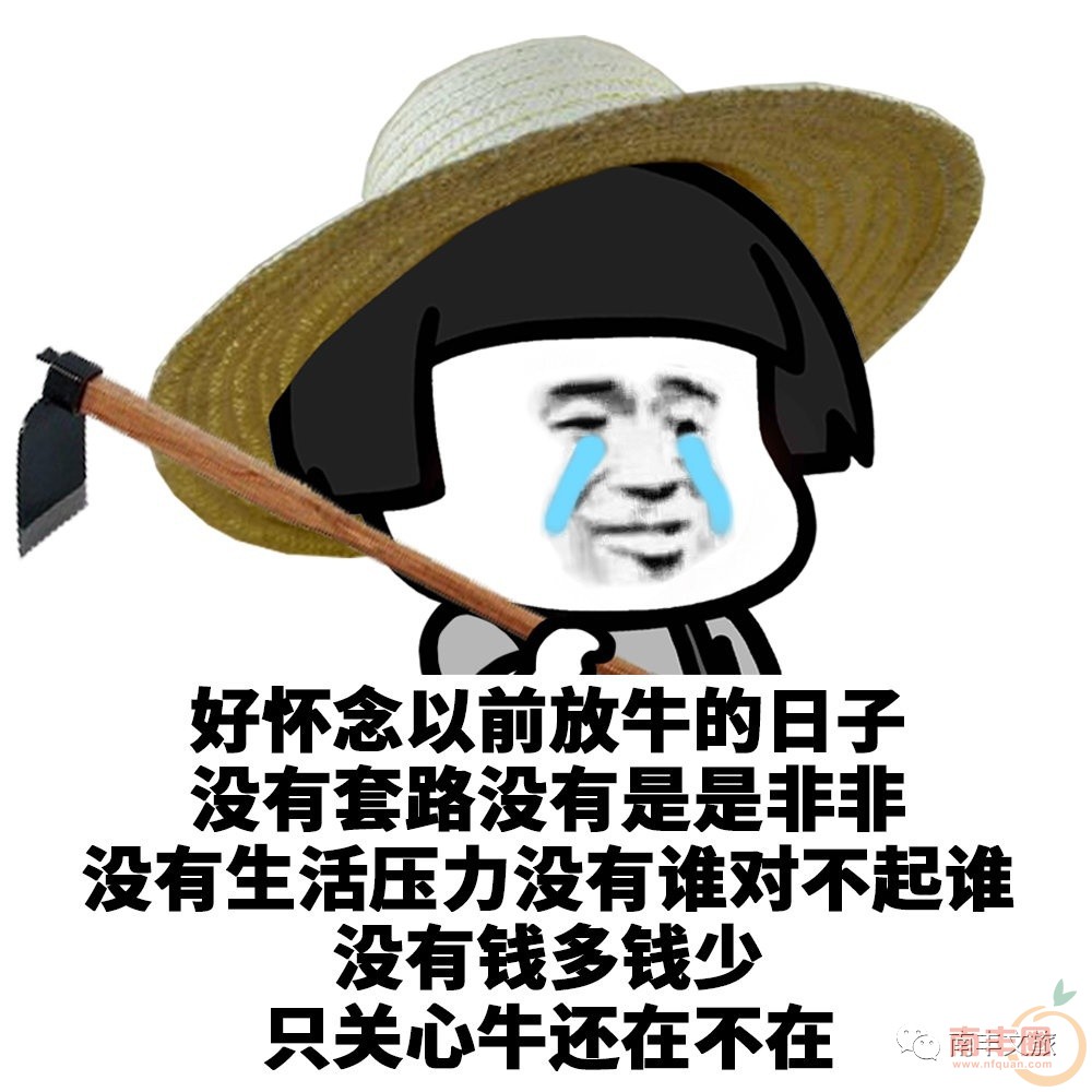 98d9ef43e7f2d96782f14e2092541fd3.jpg