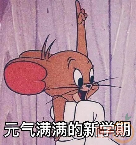 164741lcrhddcvu0oiicoo.jpg