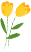 180230hiqzkpdkb7i3kwkr.png