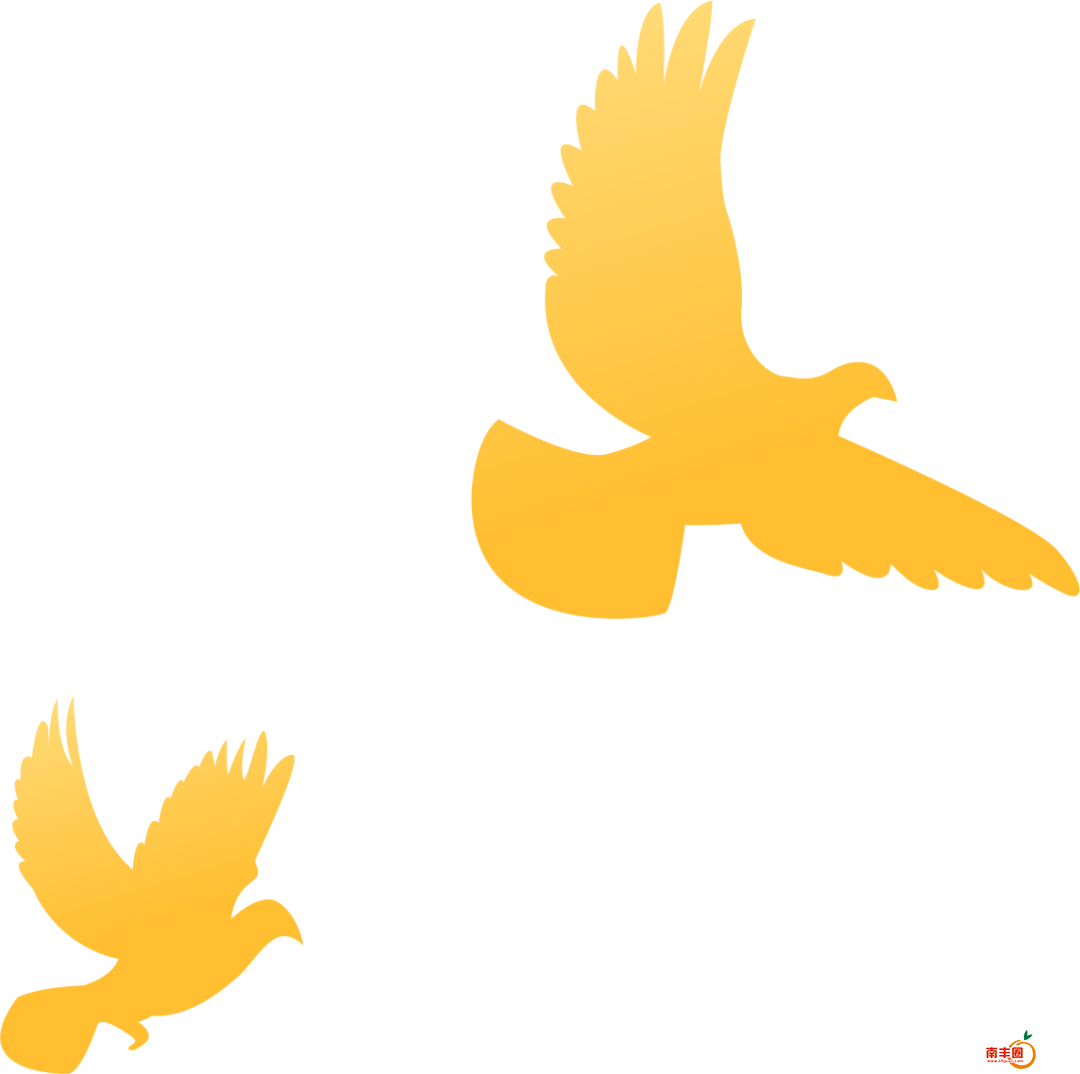 114056qqxix0wfp5nwn9im.png