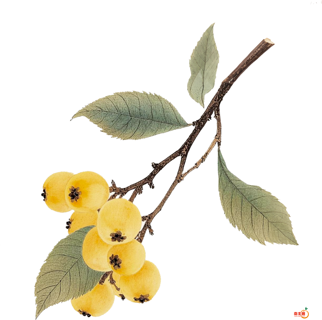 075503djeygdg2etzm422c.png