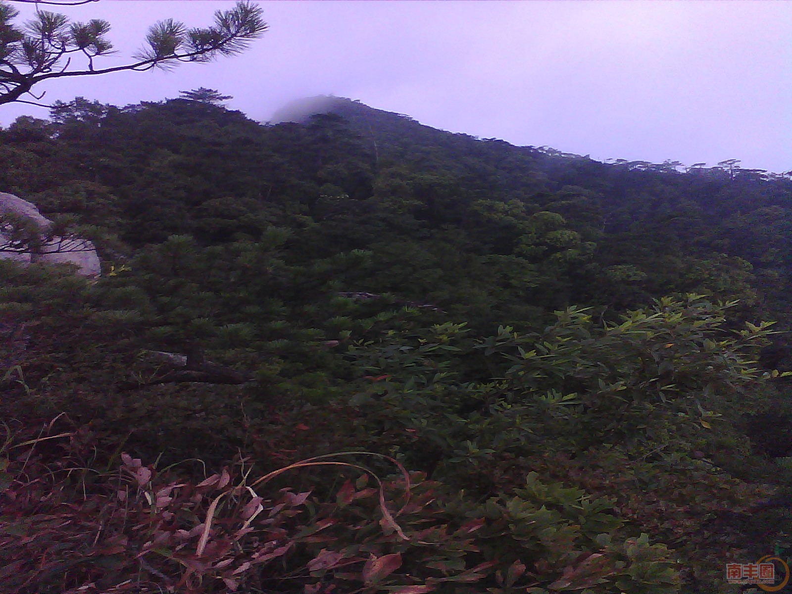IMG_20130705_072742_0.jpg