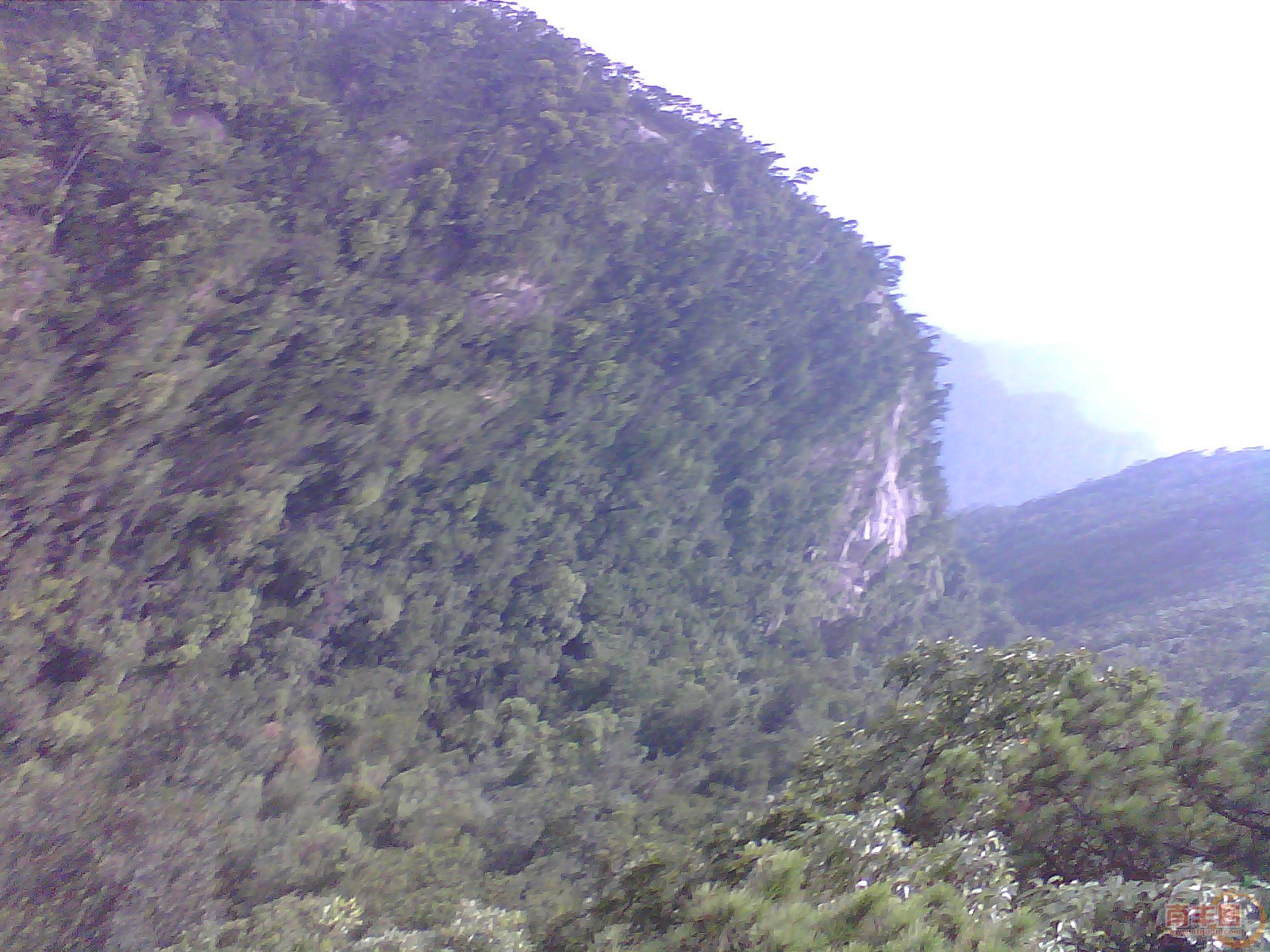 IMG_20130705_073029_0.jpg