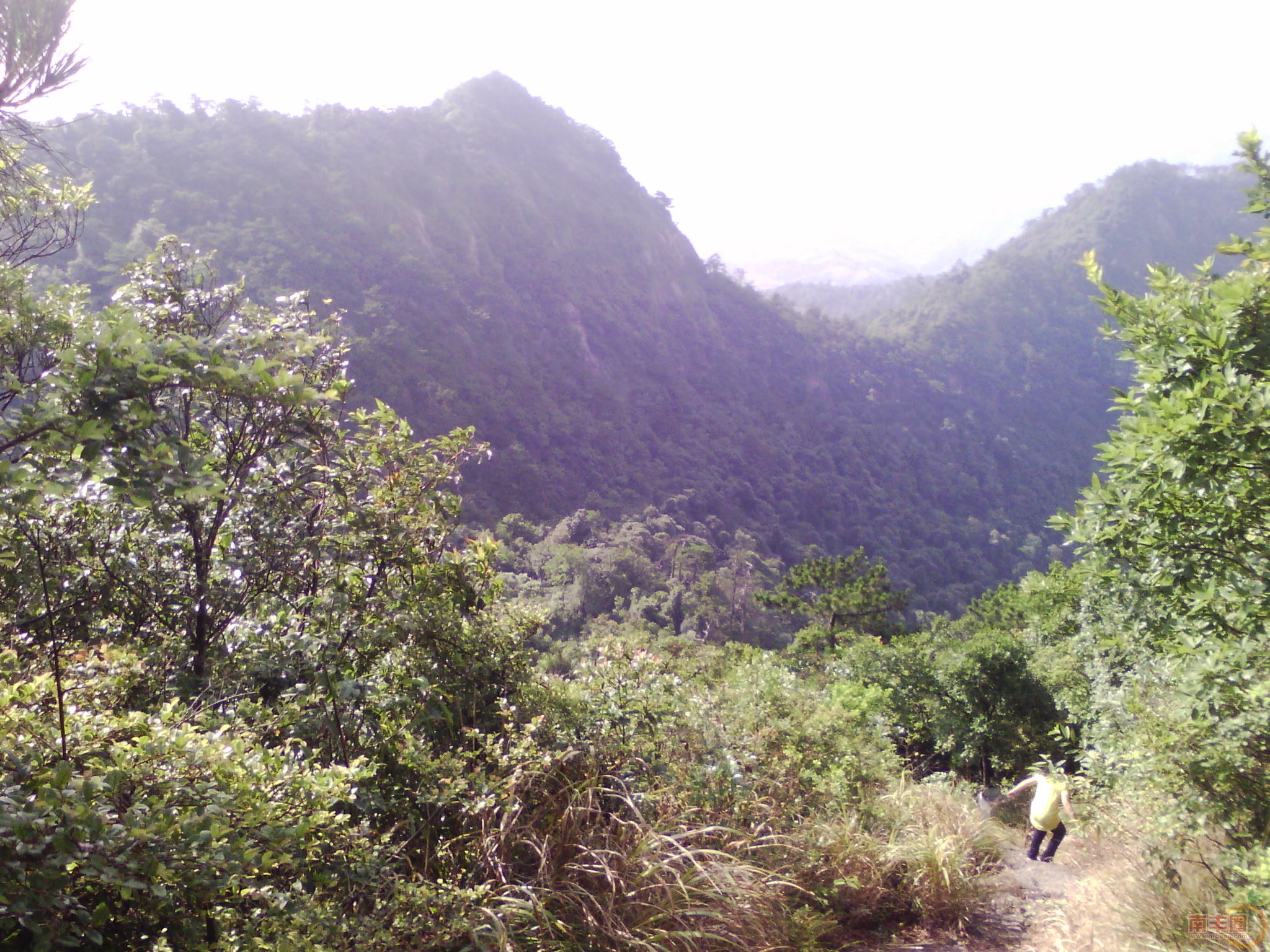 IMG_20130705_081854.jpg