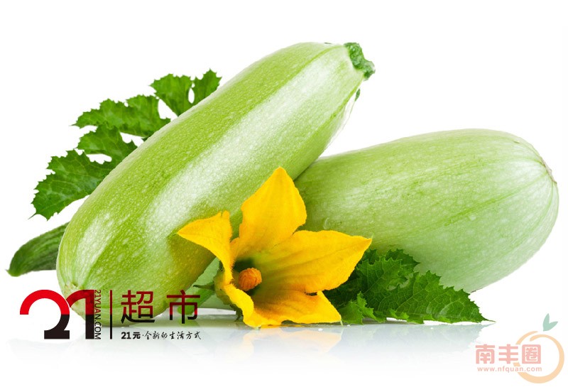 西葫芦.jpg