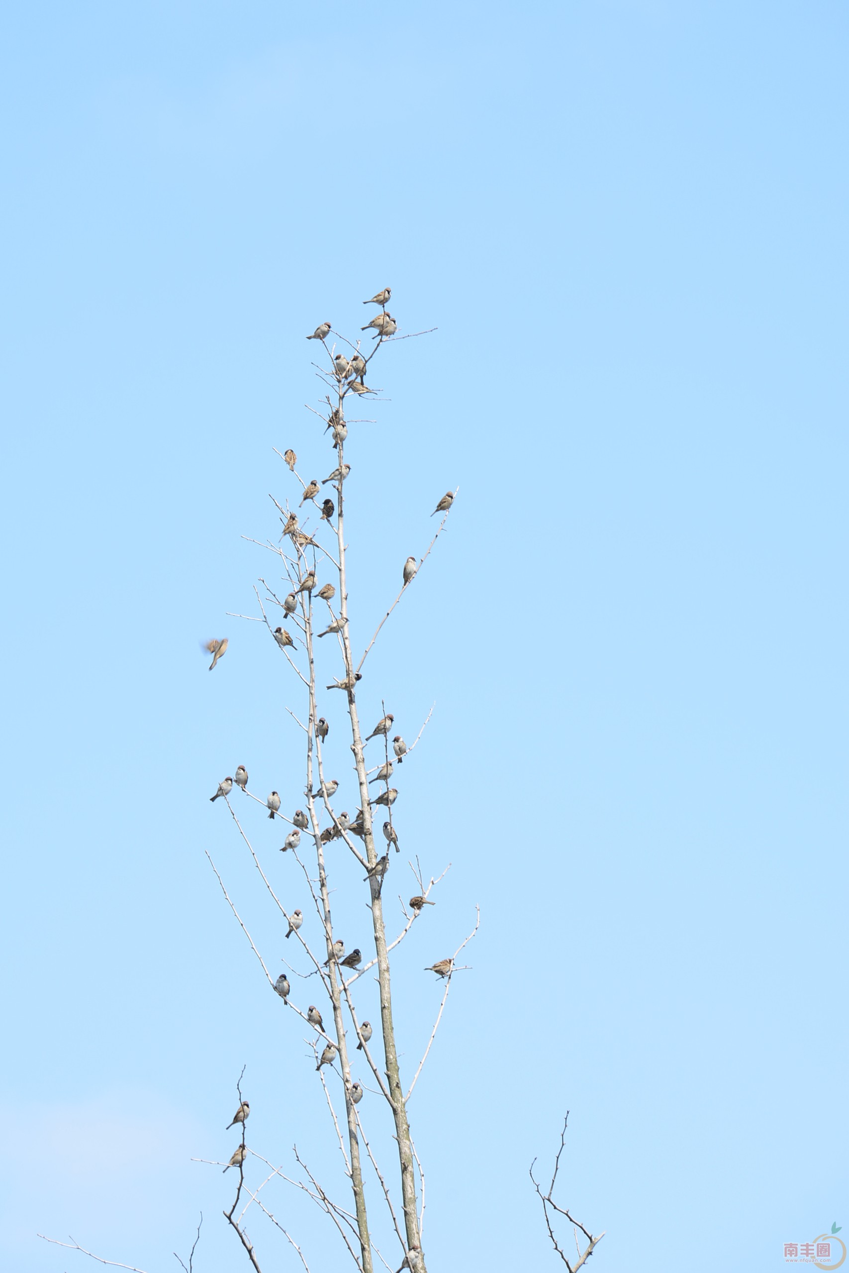 DSC_0185.jpg