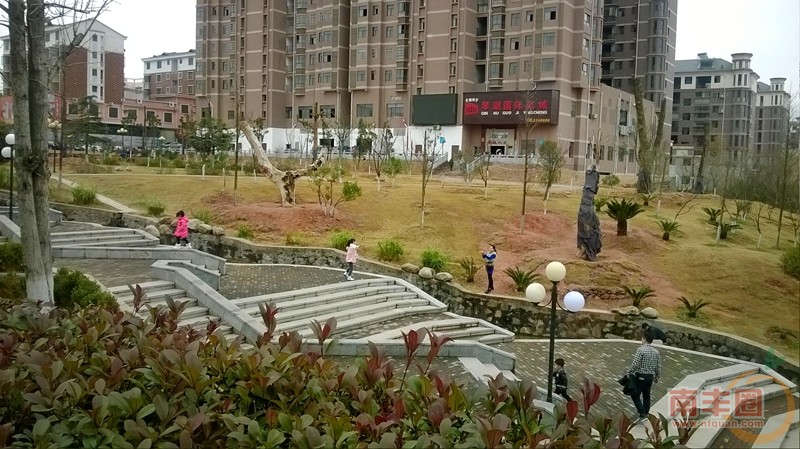1a琴湖6.jpg