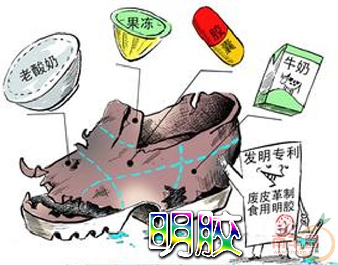 明胶.jpg