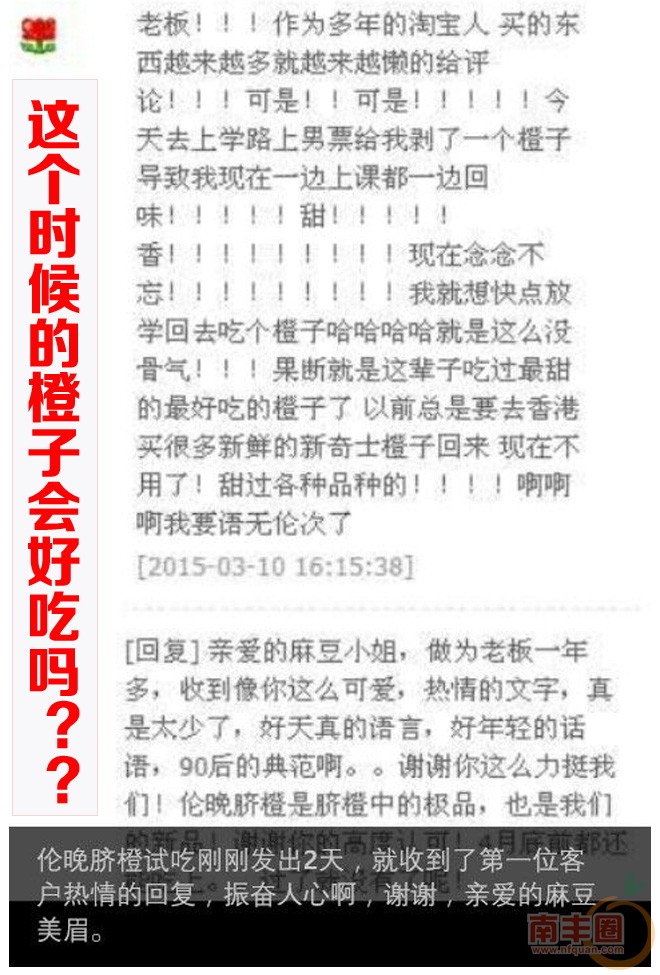 橙子_05.jpg