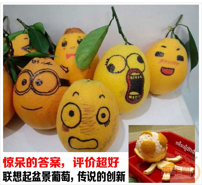 橙子_06.jpg