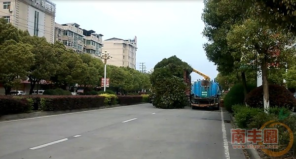 绿化进行时.jpg