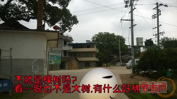 01.jpg