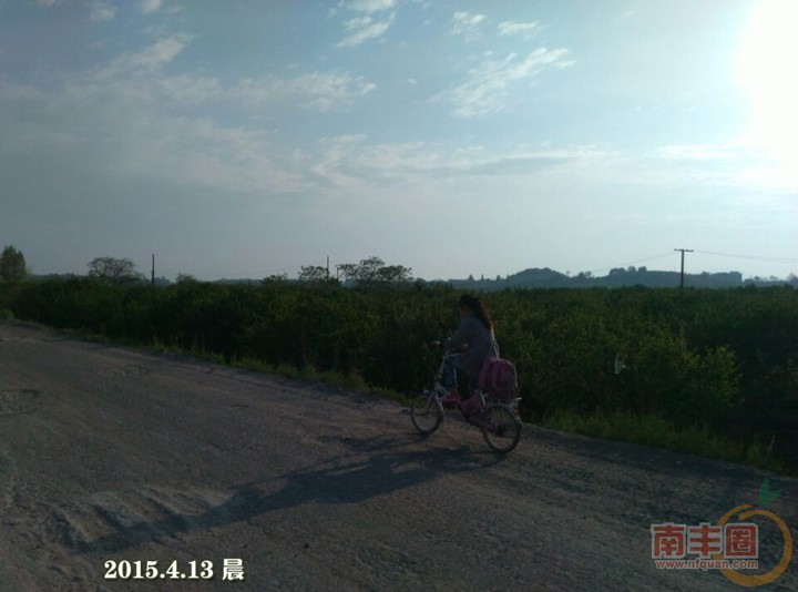 自行车.jpg