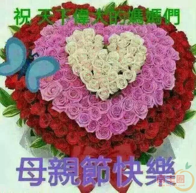 100241b1p1zwxes7xwfsvr.jpg