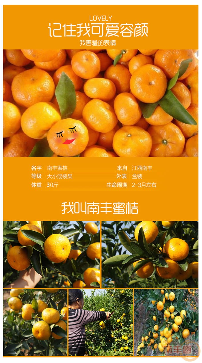 TB1SuumJVXXXXcxXpXXSutbFXXX_副本_副本_副本.jpg