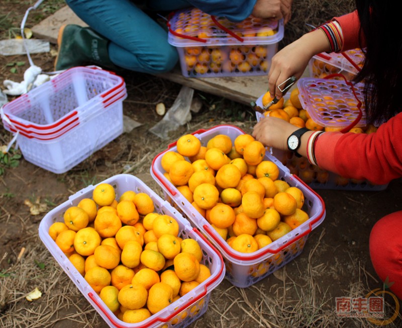 IMG_1835_副本.jpg