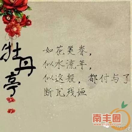 3f943aaaf18b1a8a6dc64ccc3b1c4ddf.jpg