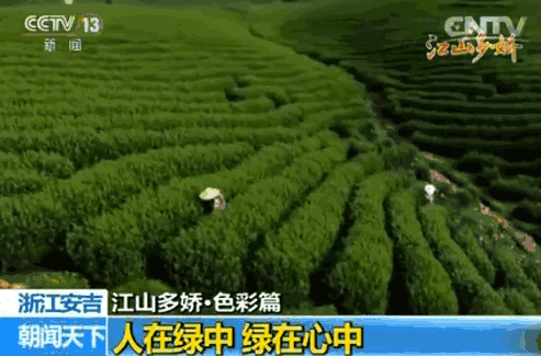 df994558d66e35188f15d3b52302ec50.gif