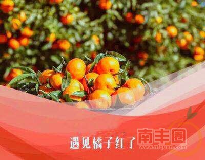 91f01c9d66bf409b54ce548babe30f37.jpg