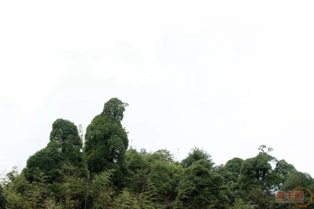 63c539a0103ce892b4d17d97d17370ef.jpg