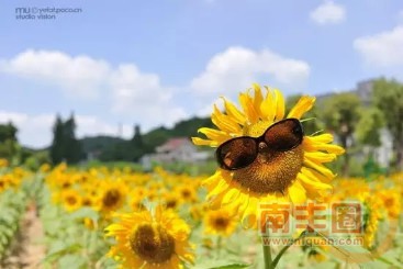 ce759fffabd2856b447c0cc84509bc2e.jpg