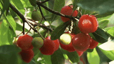 607d7f62697cff04cf2141942ee81132.gif