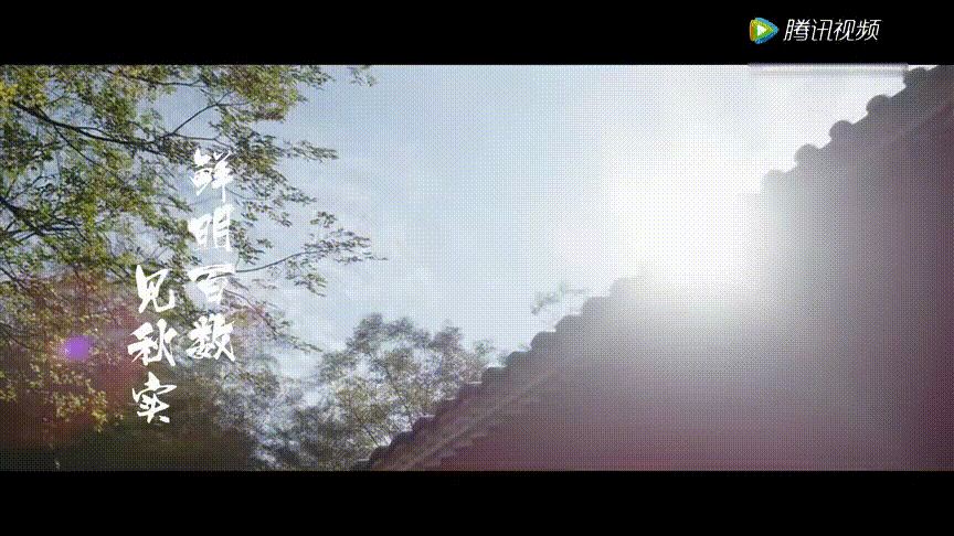 508f598914200c0a0eee8d21307ec5d4.gif