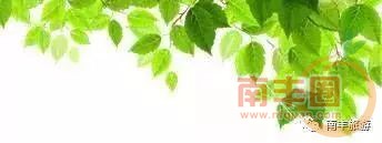 d56d767931ab48add94995fa82ed1892.jpg