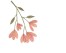 155659n6nf77kaatiaaa33.gif