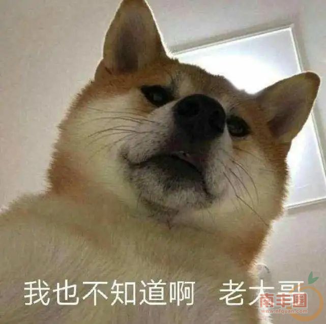 225814tlb0xxrb6jh6gt36.jpeg